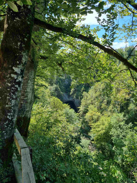 Weberhöhle Tkalca Jama (SI)